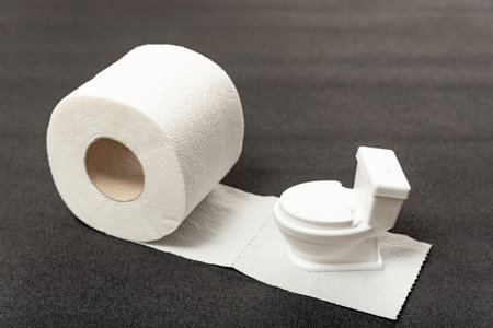 Small toy toilet bowl on roll of white toilet paper, gray background. Eco-friendly recycled toilet paperの写真素材