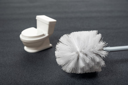 White toilet brush and small toilet bowl on gray background. Tools for house cleaning hygieneの写真素材