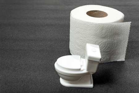 Model of small toy toilet bowl and Roll of toilet paper on gray background. Hygiene products for the restroomの写真素材