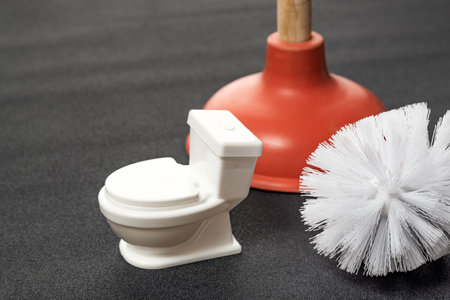 Toilet brush, small toilet bowl and plunger close up. Tools to maintain cleanliness and hygiene in the restroomの写真素材