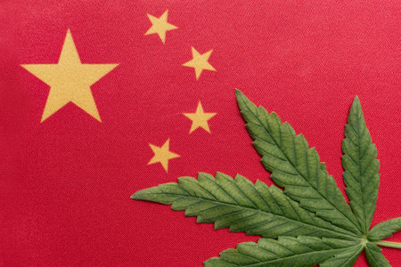 Big flag of PRC close up and fresh cannabis leaf. Illegal cultivation and distribution. Medical use.の写真素材