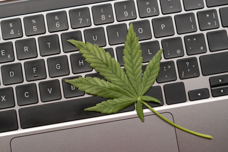 Green cannabis leaf on the keyboard of a laptop computer. The concept of online cultivation of...