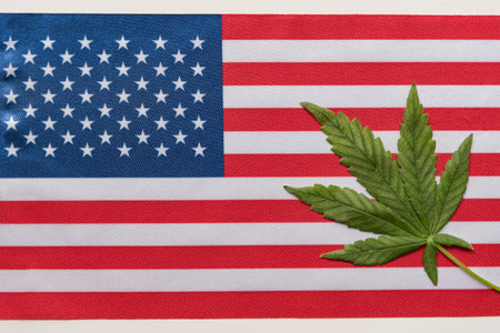 Big flag of United States close up and fresh cannabis leaf. Illegal cultivation and distribution. Medical use.の写真素材