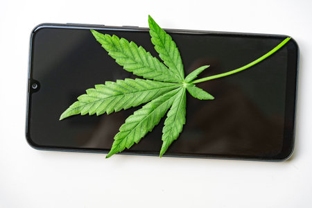 Cannabis leaf on smartphone isolated on white background. The concept of legalization of marijuana.の写真素材