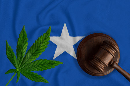 Cannabis leaf and judge gavel on the Somalia flag background. Concept of legalization of marijuana.の写真素材