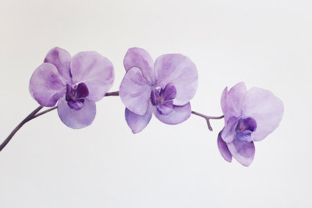 Purple orchids painted with watercolors on a white background create a minimalist and elegant artworkの素材