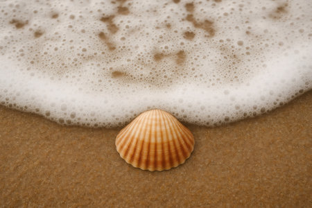 Close up view of a seashell resting on wet sand, gently caressed by the retreating sea foam, capturing the essence of coastal tranquilityの素材