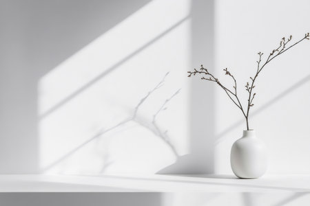 Dry branch with buds in white vase on white table casting shadows on white wall from window light, minimalist interior design conceptの素材
