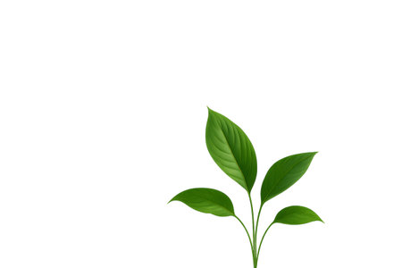 Vibrant green leaves create a minimalist plant design, adding a touch of nature to a clean white backgroundの素材