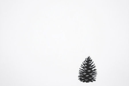 Minimalist black and white illustration representing a pinecone over a white background, perfect for Christmas or winter projectsの素材