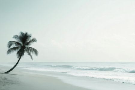 Serene tropical beach scene featuring a single palm tree gracefully leaning over the white sand, gentle waves rolling in from the turquoise ocean under a soft, hazy skyの素材