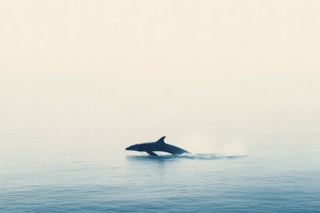 Orca whale jumping in calm ocean with foggy background, creating minimalist and serene atmosphereの素材