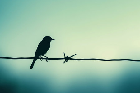 Minimalist image capturing the silhouette of a bird perched on a wire against a serene gradient skyの素材