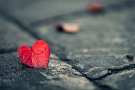Close-up photo of a red heart-shaped leaf on a textured gray pavement, symbolizing love and solitudeの素材