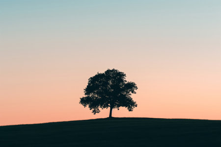 Minimalist photo of a lone tree's silhouette against a gradient twilight skyの素材
