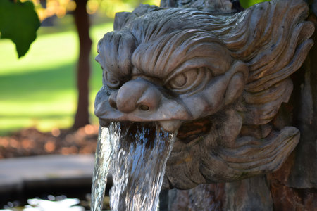 Clear water spurting from the mouth of a stone dragon head fountain in a serene garden settingの素材