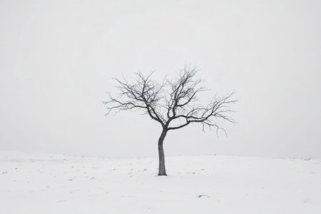 Bare tree standing alone in a wide snowy field during a cold winter day, creating a melancholic and minimalist landscapeの素材