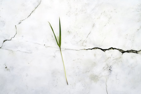 Green grass growing through cracks in a concrete wall, demonstrating the power of nature and resilienceの素材