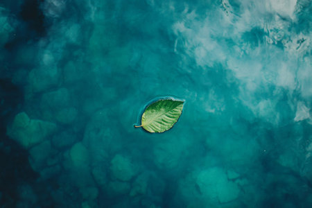 Green leaf floating on a perfectly still turquoise water surface creating ripples, ideal for backgrounds and texturesの素材