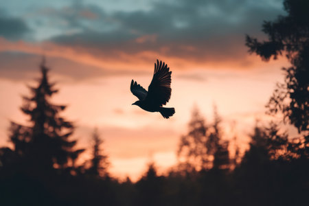 Silhouetted bird soaring with spread wings against a vibrant twilight sky, showcasing freedom and nature's beautyの素材