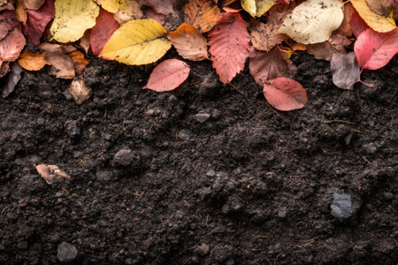 Rich dark soil providing a fertile background, topped with a vibrant border of fallen yellow, red, and orange autumn leavesの素材