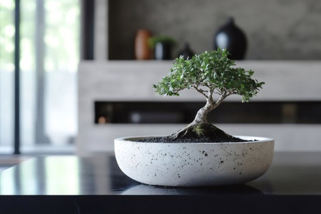 Bonsai tree providing a serene touch to a contemporary minimalist interior. The small tree is standing in a concrete potの素材