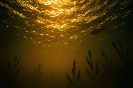 Underwater view of a fish swimming in clear water, plant silhouettes below, capturing a serene aquatic environmentの素材
