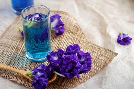 butterfly pea drinks with butterfly pea flowerの写真素材