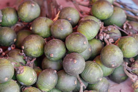 Areca nut to sell the market .の写真素材