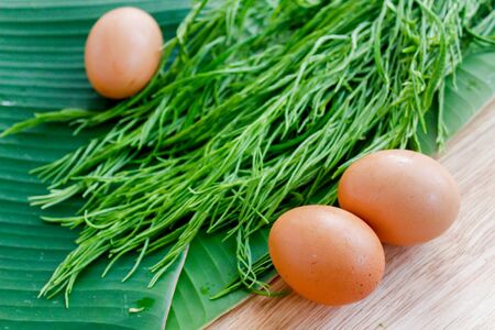 egg and Climbing Wattle on wooden backgroundの写真素材