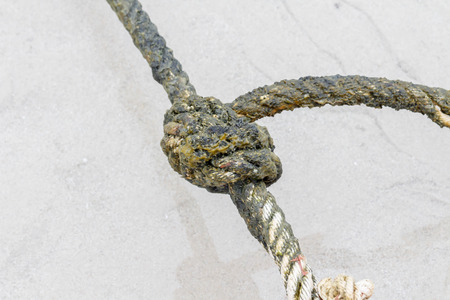 knot on the beachの写真素材