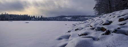 Panoramic view of frozen lake with snow covered trees in winterの写真素材