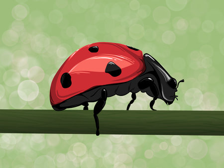 Ladybug on green background with bokeh. Vector illustration.のイラスト素材