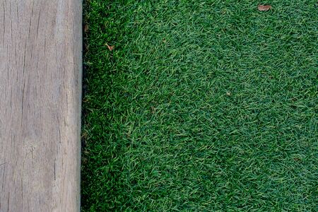 Wood plank and green grassの写真素材