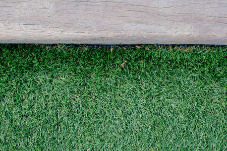 Wood plank and green grassの写真素材