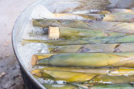 boiling bamboo shootsの写真素材