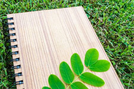 Notebooks made of plywood and leaves placed on the grass