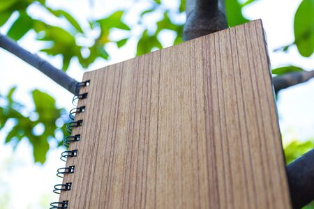 Notebooks made of plywood placed on the treeの写真素材