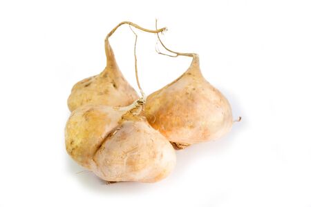 yam bean on white backgroundの写真素材