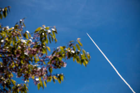 airplane contrail with blurred tree on sky backgroundの写真素材