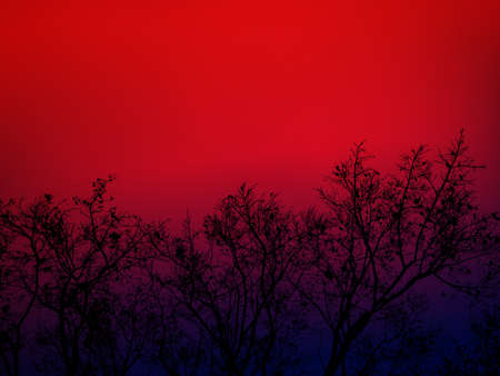 silhouette of branch bodhi tree in duo tone red and purple
