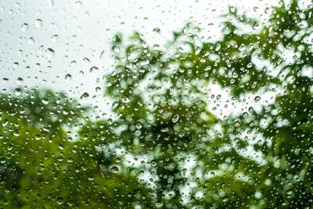 Drops water on glass with blur tree backgroundの写真素材