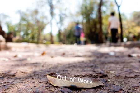 typography motivation. text on the dry leafの写真素材