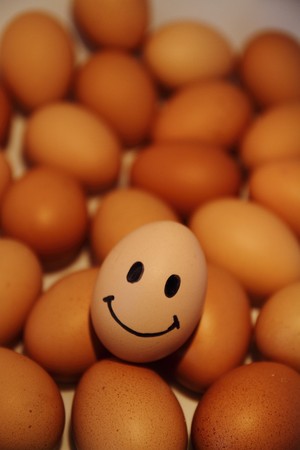 Smile eggの写真素材