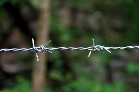 barbed wire