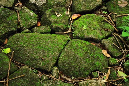Moss covered rocksの写真素材