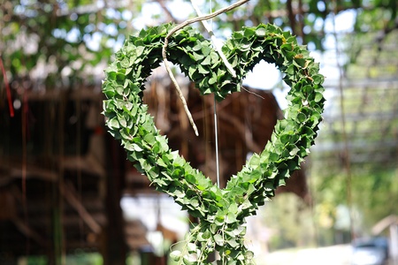 Green Heart levesの写真素材