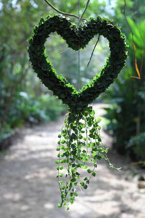 Green Heart levesの写真素材