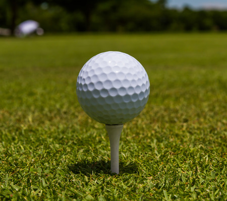 Golfball stand tee in the golf course.の写真素材