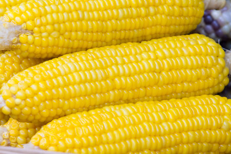 Closeup corn boil in the market